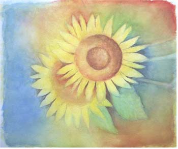 Sonnenblumen.